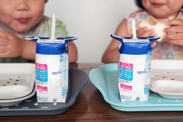 社会福祉法人ピジョン福祉会 はとぽっぽ保育園メイン画像4